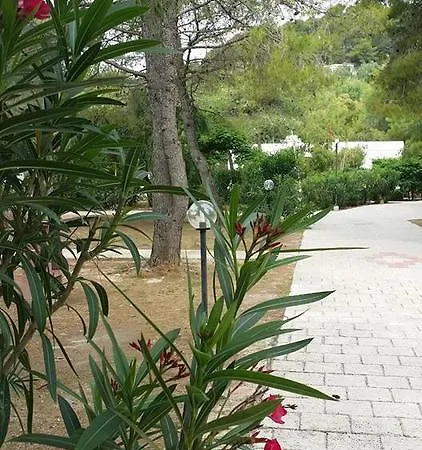 Parco vacanze Villaggio Sabbiadoro *